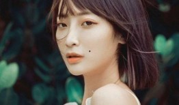 娱乐圈女最新爆料,揭秘背后惊人真相